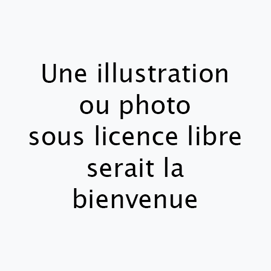 Fichier:Image missing.png